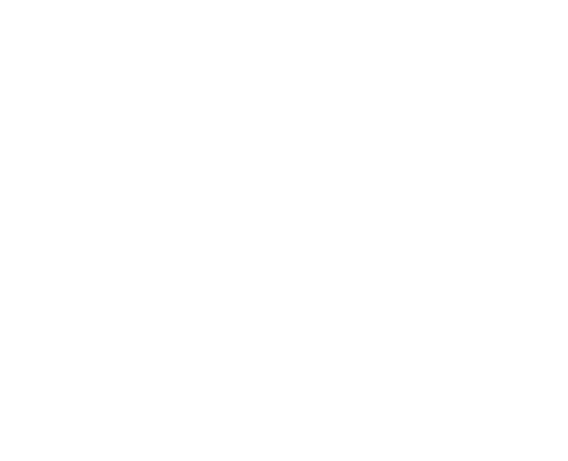 Video Icon